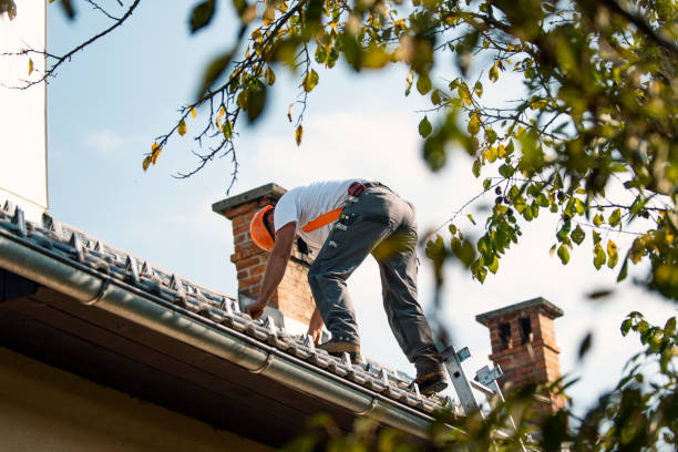 Best Affordable Roofing Company  in Manchester, MI