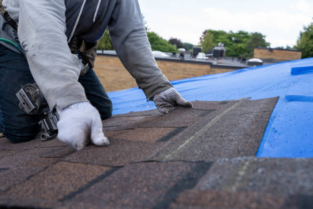 Best Roof Repair Services  in Manchester, MI