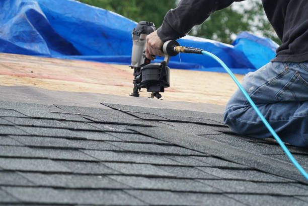Best Shingle Roofing Installation  in Manchester, MI