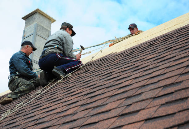 Best Emergency Roof Repair  in Manchester, MI