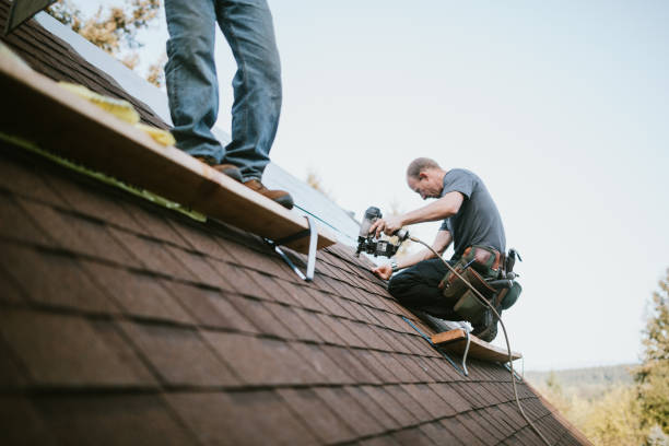 Best Commercial Roofing Services  in Manchester, MI